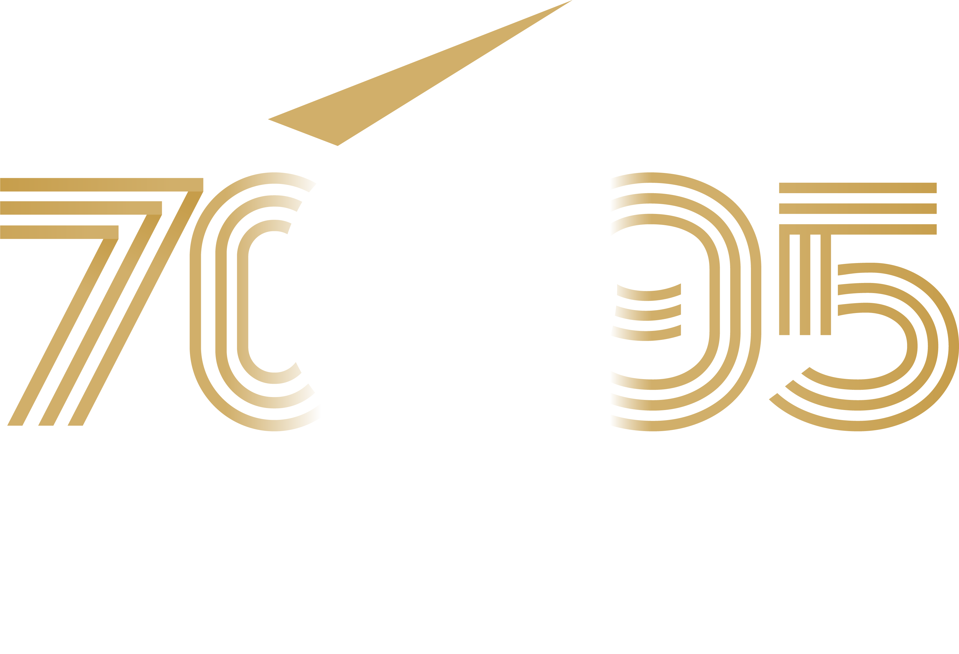 Белый логотип ВГТУ